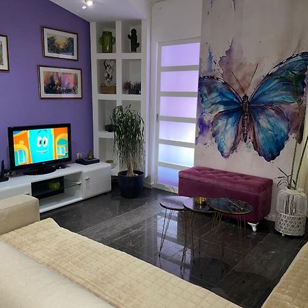 Dorotea Butterfly Apartment Budva Exterior photo